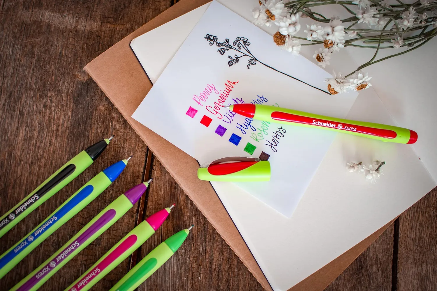 Schneider Xpress 190095 Fineliner 3er-Etui sortiert dokumentenecht